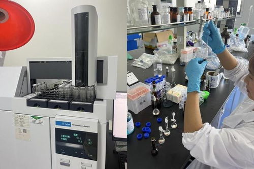 医疗器械NMPA注册咨询与软件开发服务