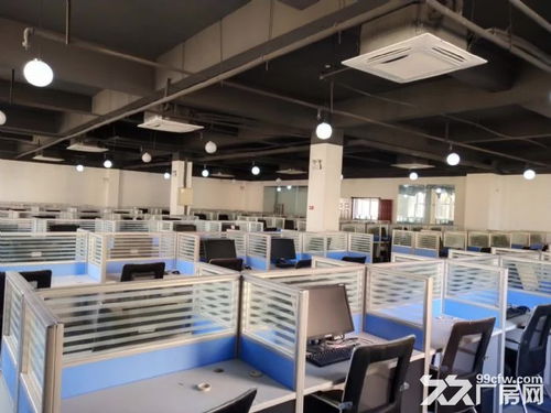 大学城旁政府产业园 软件开发企业的理想创业基地